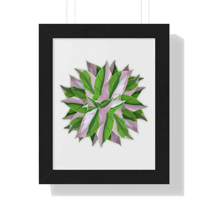 Syngonium Tricolor Print - Framed Botanical Art With Matte Finish & Acrylic Cover - The Potted Pixel