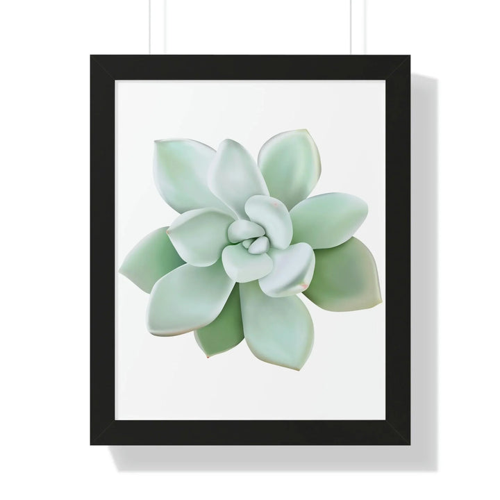 Pachyveria Haagei Succulent Framed Print, Poster, Printify, Framed, Home & Living, Indoor, Paper, Posters, Laura Christine Photography & Design, laurachristinedesign.com