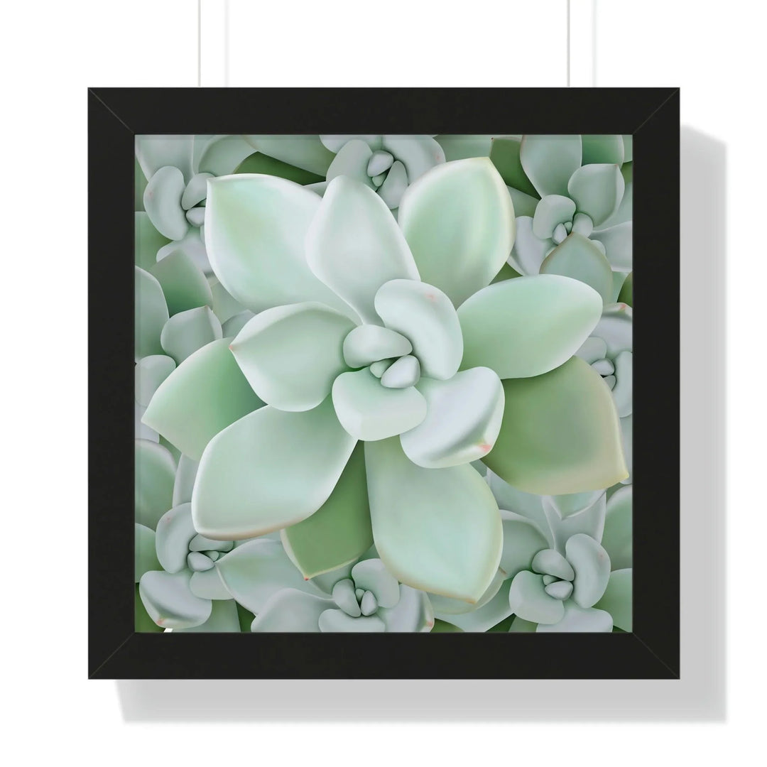 Pachyveria Haagei Succulent Pattern Framed Print, Poster, Printify, Framed, Home & Living, Indoor, Paper, Posters, Laura Christine Photography & Design, laurachristinedesign.com