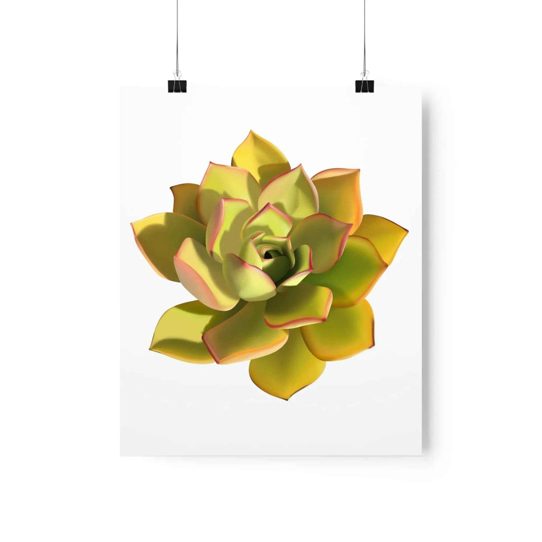 POS Aeonium Print