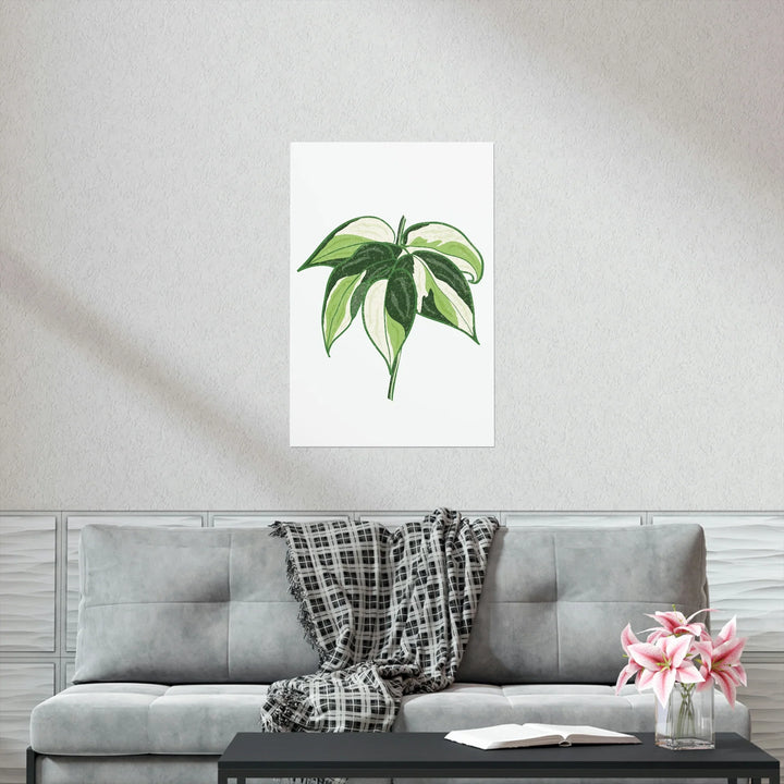Philodendron Cream Splash Print Variegated Philodendron Poster On Museum Grade Paper Unframed