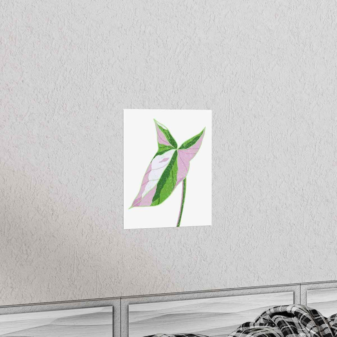 Syngonium Tricolor Print – Botanical Wall Art | Variegated Leaf Poster Unframed - The Potted Pixel