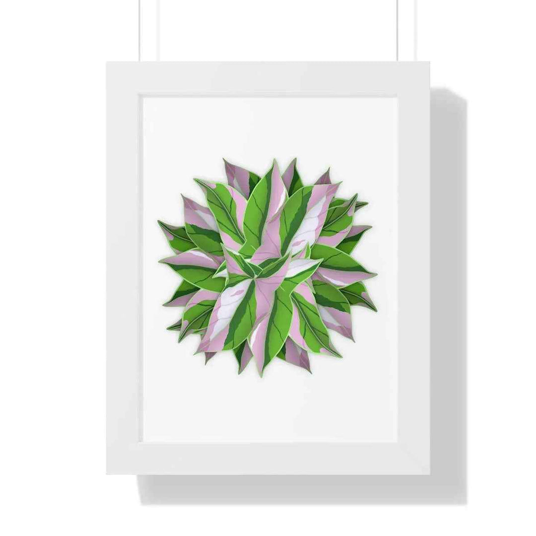 Syngonium Tricolor Print - Framed Botanical Art With Matte Finish & Acrylic Cover - The Potted Pixel