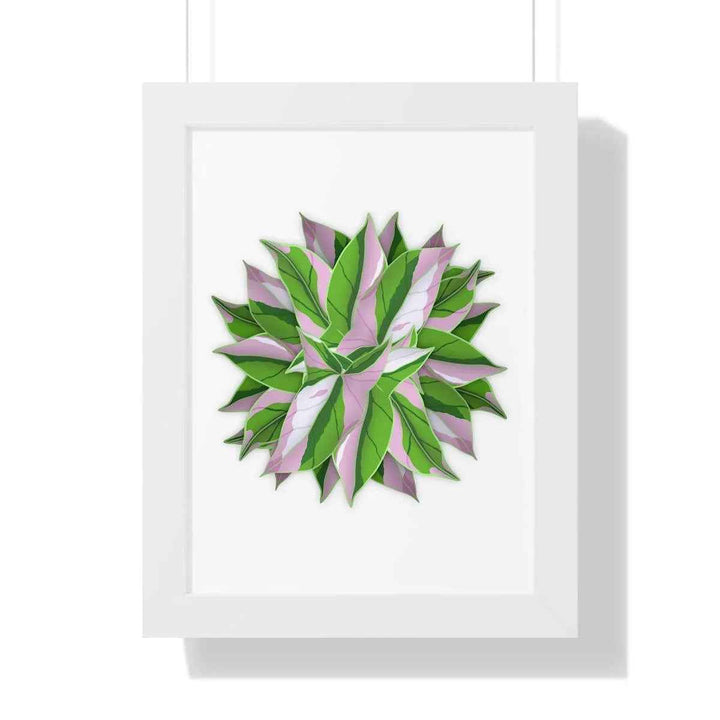 Syngonium Tricolor Print - Framed Botanical Art With Matte Finish & Acrylic Cover - The Potted Pixel
