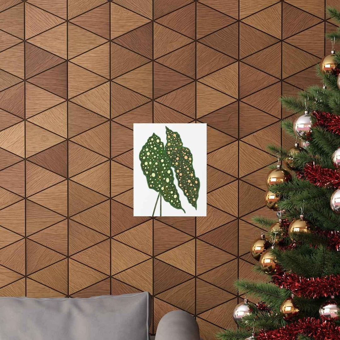 Begonia Maculata Print - Botanical Wall Art on Museum Grade Paper | Matte Finish Unframed - The Potted Pixel