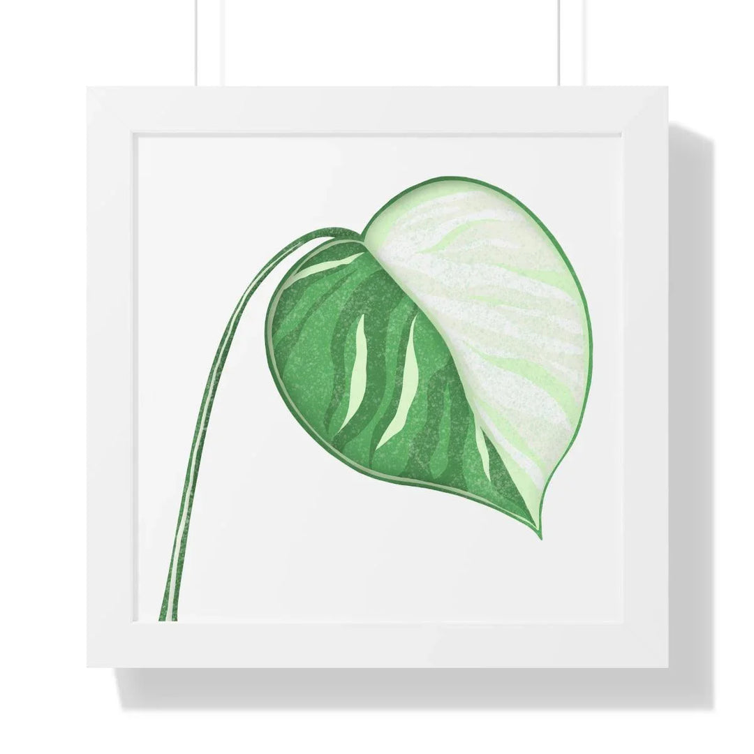 Monstera Albo Framed Print, Poster, Laura Christine Photography & Design, Framed, Home & Living, Indoor, Paper, Posters, Laura Christine Photography & Design, laurachristinedesign.com