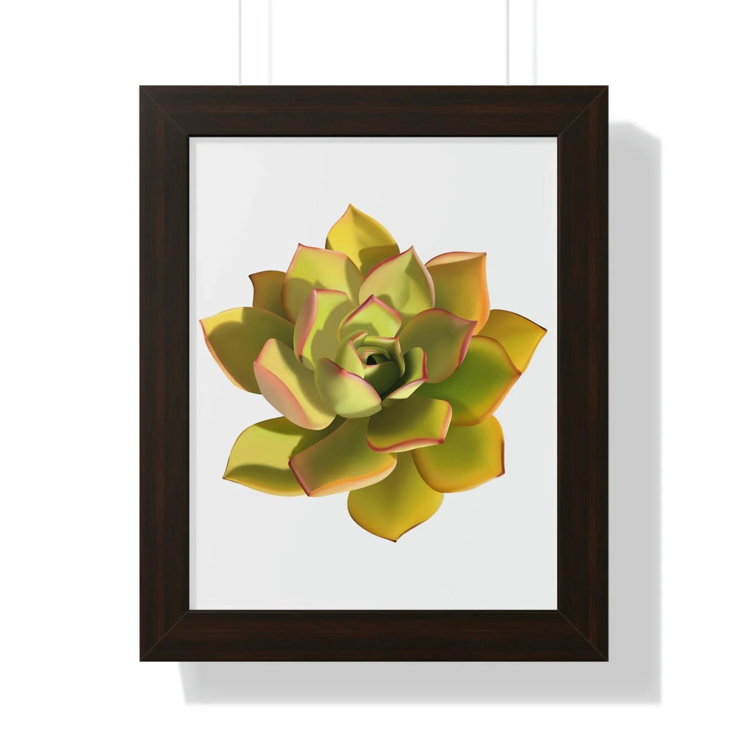 Noble Aeonium Succulent Framed Print, Poster, Printify, Framed, Home & Living, Indoor, Paper, Posters, Laura Christine Photography & Design, laurachristinedesign.com
