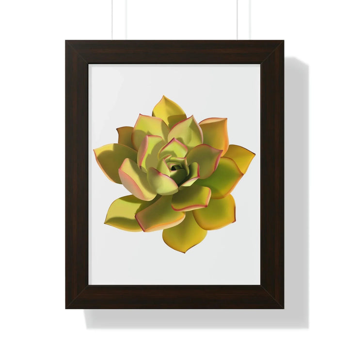 Noble Aeonium Succulent Framed Print, Poster, Printify, Framed, Home & Living, Indoor, Paper, Posters, Laura Christine Photography & Design, laurachristinedesign.com