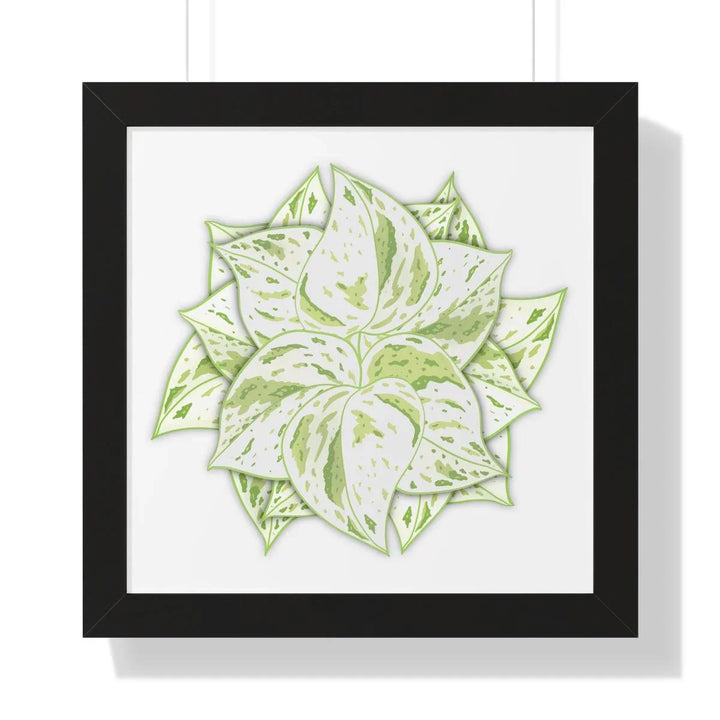 Snow Queen Pothos Framed Print, Poster, Laura Christine Photography & Design, Framed, Home & Living, Indoor, Paper, Posters, Laura Christine Photography & Design, laurachristinedesign.com