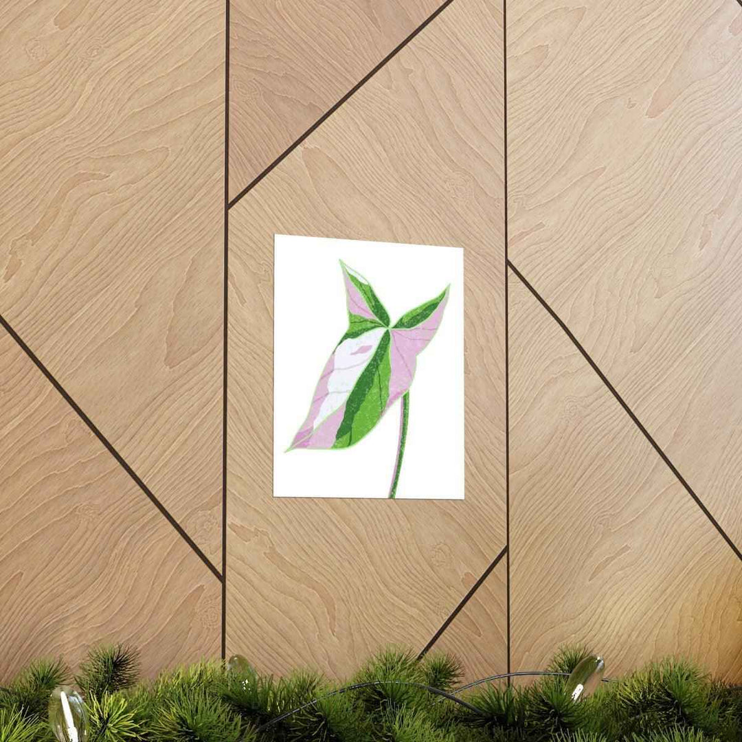 Syngonium Tricolor Print – Botanical Wall Art | Variegated Leaf Poster Unframed - The Potted Pixel