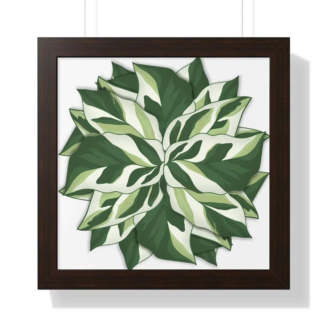 Calathea White Fusion Framed Print, Poster, Laura Christine Photography & Design, Bottle, Calathea, Canvas Bag, Coffee, Drinkware, Framed, Home & Living, Indoor, Paper, Posters, Prayer Plant, Reusable, Shopping Bag, Tea, Tote Bag, Travel, Tumbler, Water, White Fusion, Laura Christine Photography & Design, laurachristinedesign.com