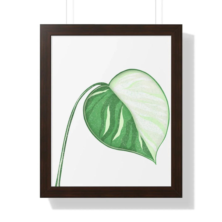 Monstera Albo Framed Print, Poster, Laura Christine Photography & Design, Framed, Home & Living, Indoor, Paper, Posters, Laura Christine Photography & Design, laurachristinedesign.com