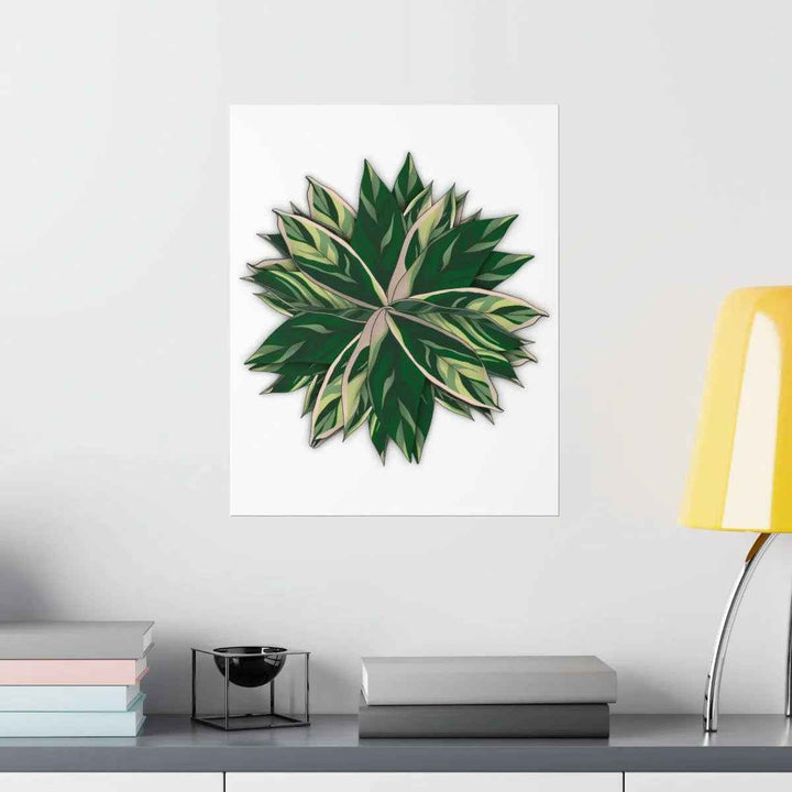 Stromanthe Triostar Print – Tropical Wall Art | Botanical Poster on Museum Grade Paper Unframed - The Potted Pixel