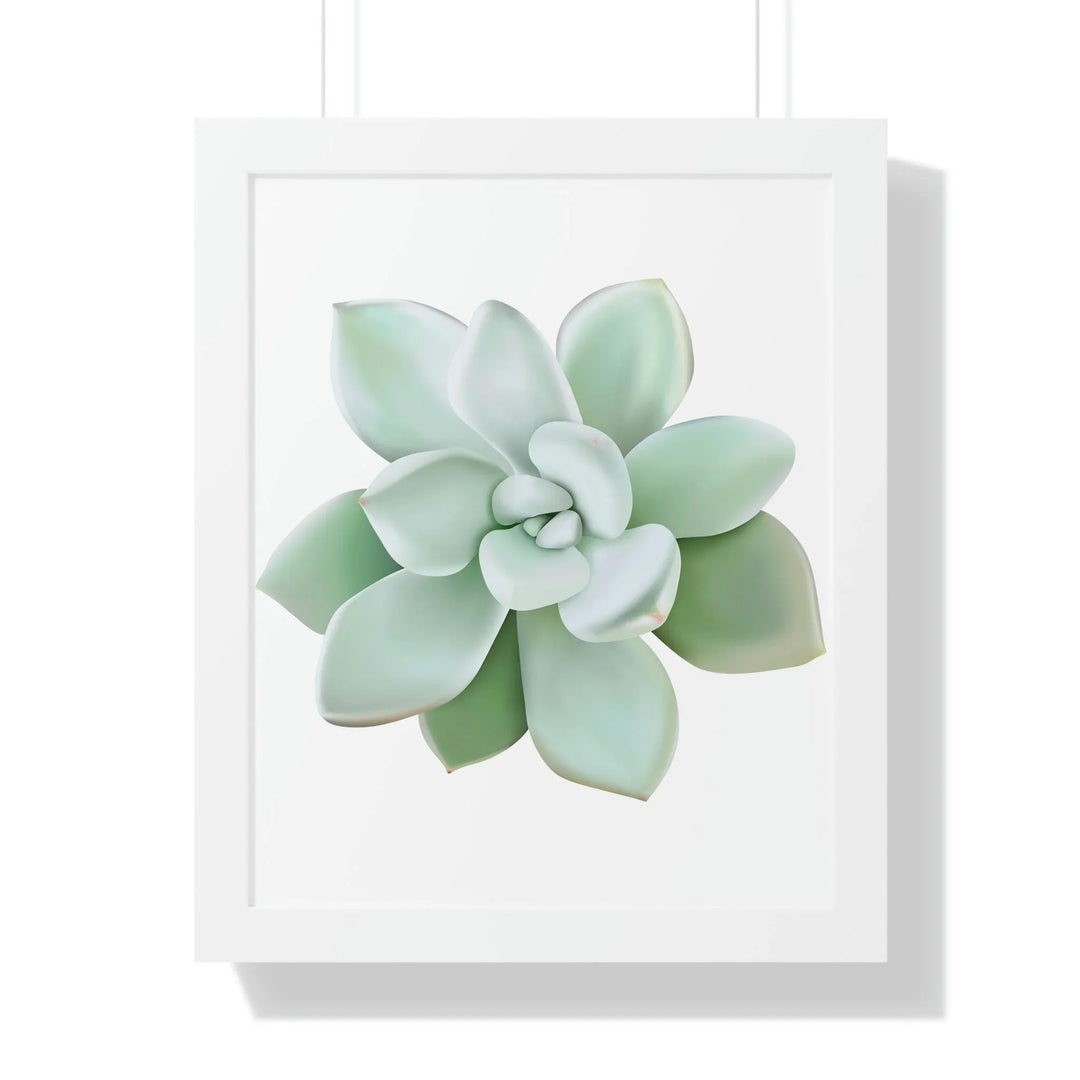 Pachyveria Haagei Succulent Framed Print, Poster, Printify, Framed, Home & Living, Indoor, Paper, Posters, Laura Christine Photography & Design, laurachristinedesign.com