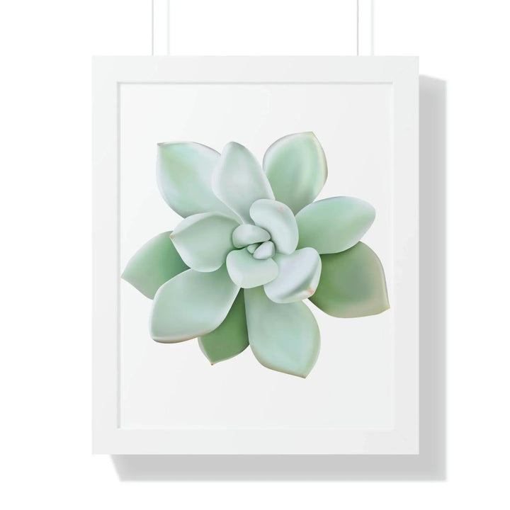 Pachyveria Haagei Succulent Framed Print, Poster, Printify, Framed, Home & Living, Indoor, Paper, Posters, Laura Christine Photography & Design, laurachristinedesign.com