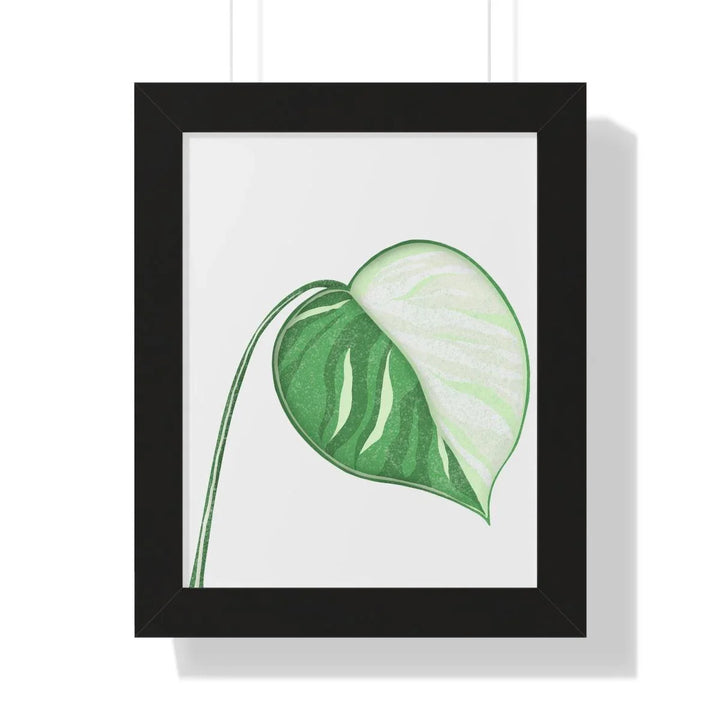 Monstera Albo Framed Print, Poster, Laura Christine Photography & Design, Framed, Home & Living, Indoor, Paper, Posters, Laura Christine Photography & Design, laurachristinedesign.com