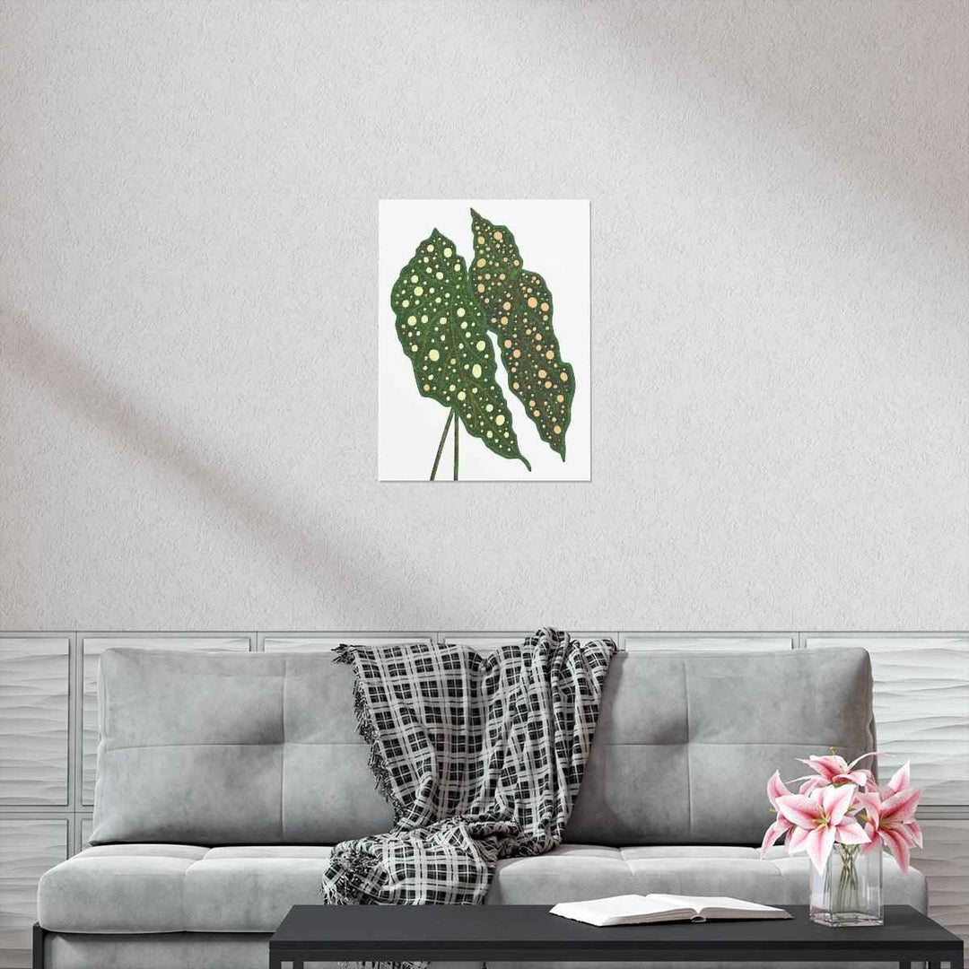Begonia Maculata Print - Botanical Wall Art on Museum Grade Paper | Matte Finish Unframed - The Potted Pixel