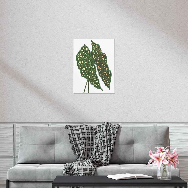 Begonia Maculata Print - Botanical Wall Art on Museum Grade Paper | Matte Finish Unframed - The Potted Pixel