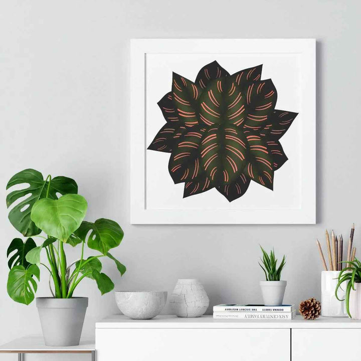 Calathea Pinstripe Print - Framed Botanical Art With Matte Finish & Acrylic Cover - The Potted Pixel