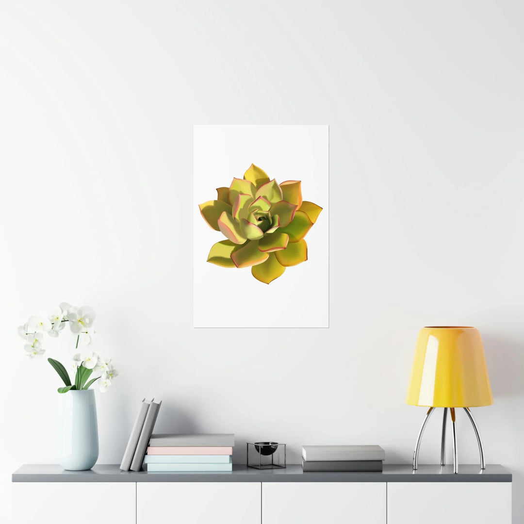 Noble Aeonium Print Vibrant Succulent Wall Art on Museum Grade Paper Poster Unframed
