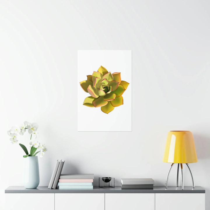 Noble Aeonium Print Vibrant Succulent Wall Art on Museum Grade Paper Poster Unframed
