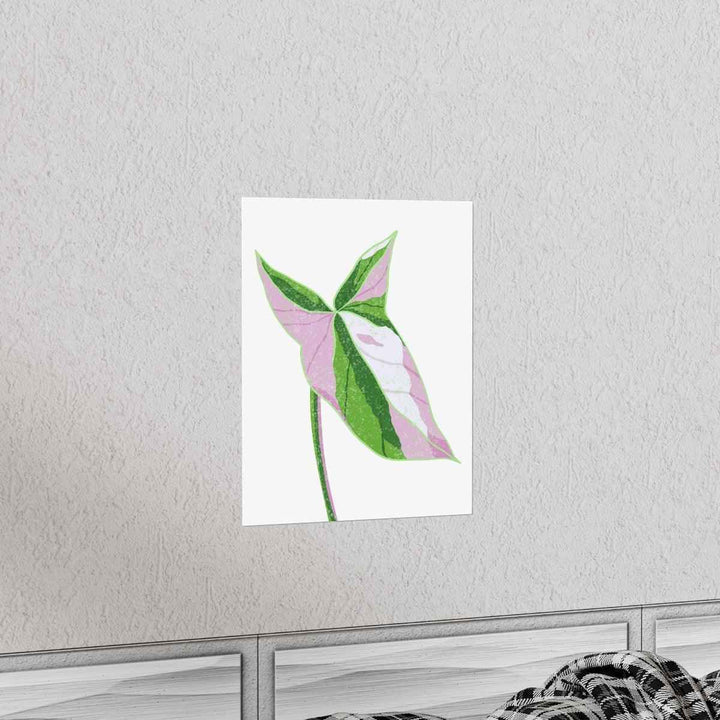 Syngonium Tricolor Print – Botanical Wall Art | Variegated Leaf Poster Unframed - The Potted Pixel