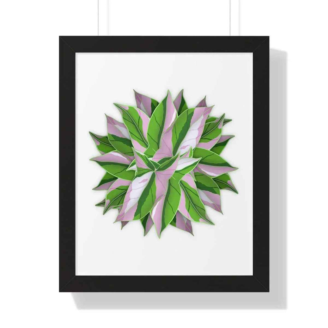 Syngonium Tricolor Print - Framed Botanical Art With Matte Finish & Acrylic Cover - The Potted Pixel
