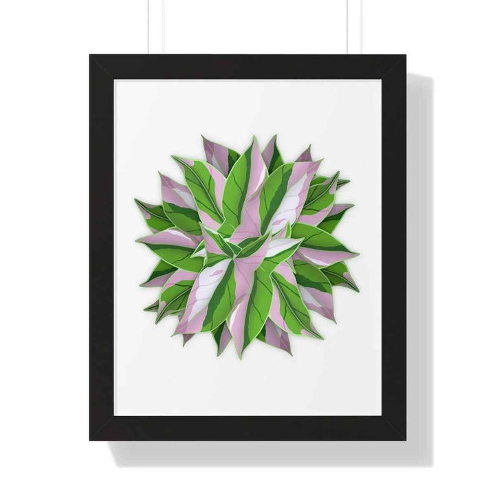Syngonium Tricolor Print - Framed Botanical Art With Matte Finish & Acrylic Cover - The Potted Pixel