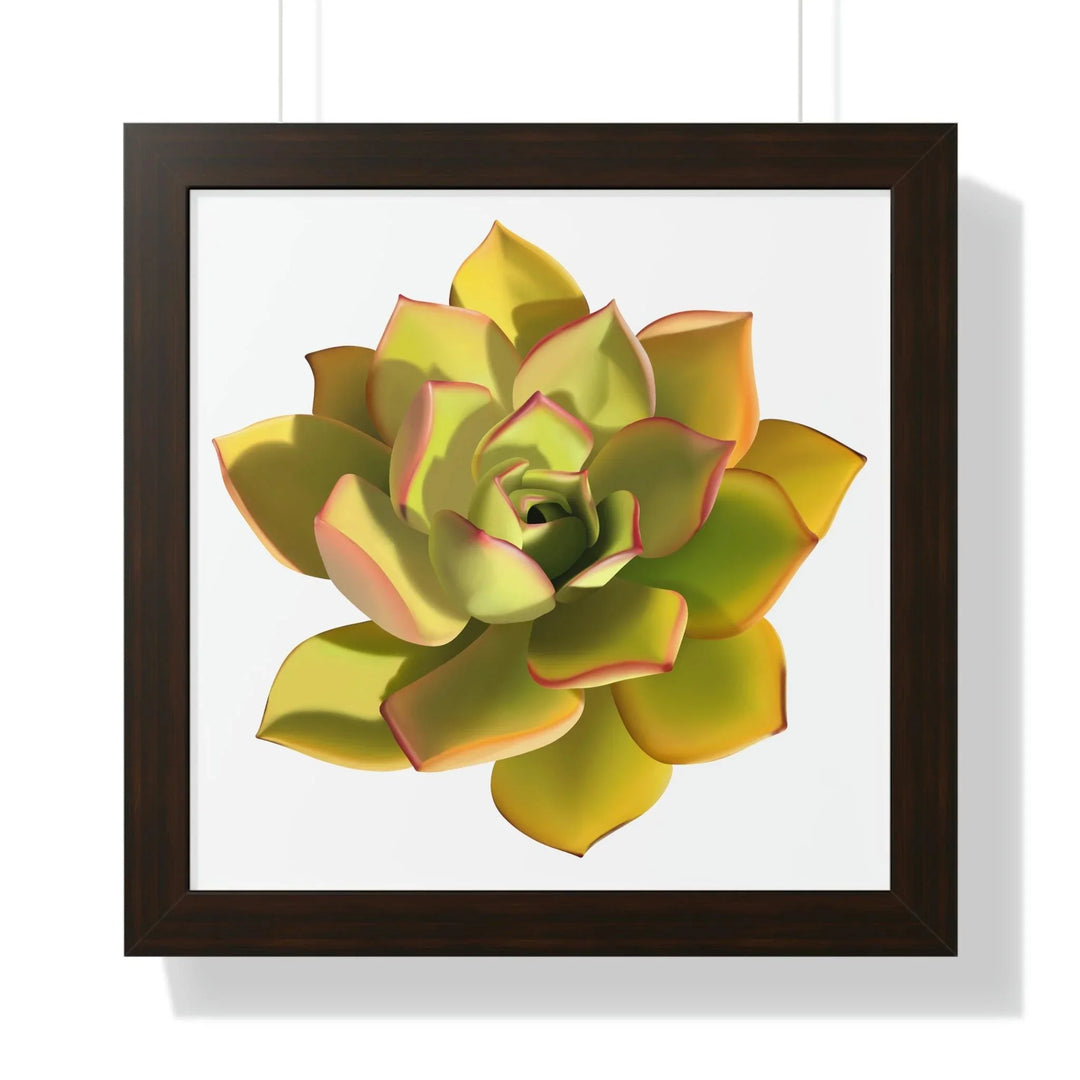 Noble Aeonium Succulent Framed Print, Poster, Printify, Framed, Home & Living, Indoor, Paper, Posters, Laura Christine Photography & Design, laurachristinedesign.com