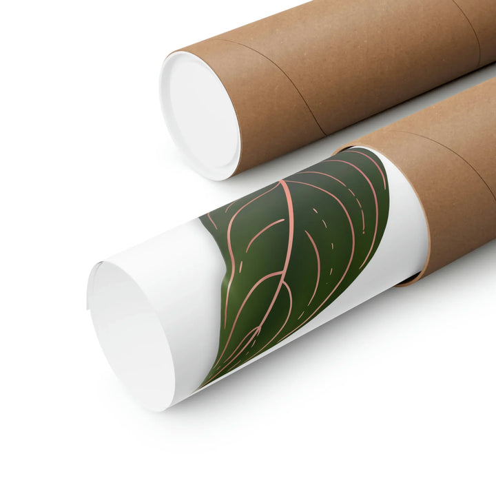 Aglaonema Rotundum Print Botanical Wall Art On Museum Grade Paper Unframed Poster Home Decor