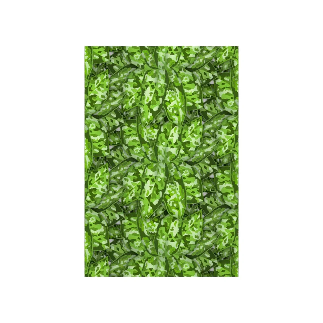 Aglaonema Pictum Tricolor Print, Poster, Laura Christine Photography & Design, Back to School, Home & Living, Indoor, Matte, Paper, Posters, Valentine's Day promotion, Laura Christine Photography & Design, laurachristinedesign.com