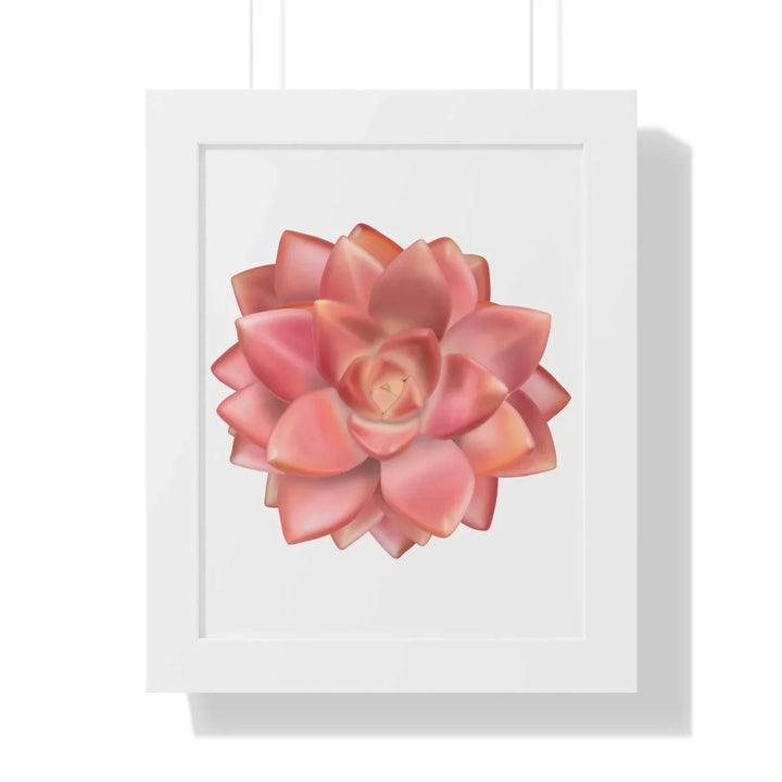 Graptosedum 'California Sunset' Succulent Framed Print, Poster, Laura Christine Photography & Design, Framed, Home & Living, Indoor, Paper, Posters, Laura Christine Photography & Design, laurachristinedesign.com