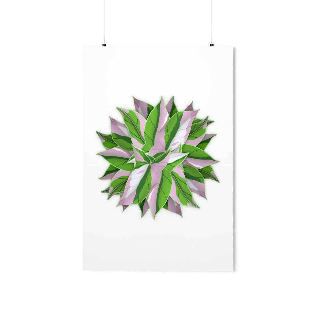 Syngonium Tricolor Botanical Print – Unframed Wall Art - The Potted Pixel