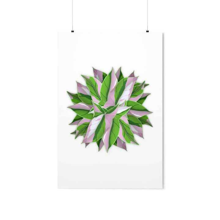 Syngonium Tricolor Botanical Print – Unframed Wall Art - The Potted Pixel