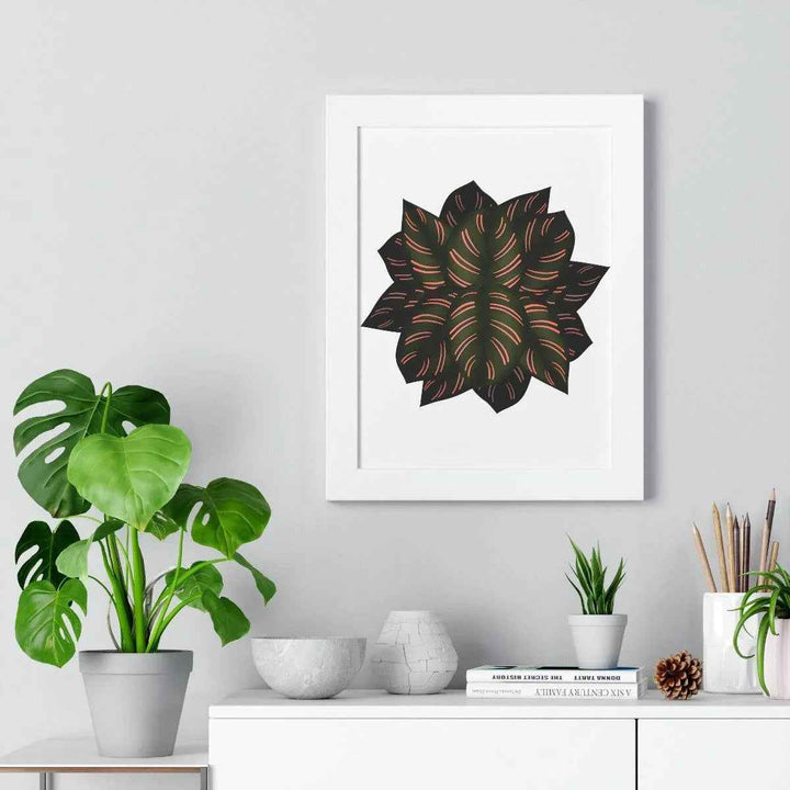 Calathea Pinstripe Print - Framed Botanical Art With Matte Finish & Acrylic Cover - The Potted Pixel