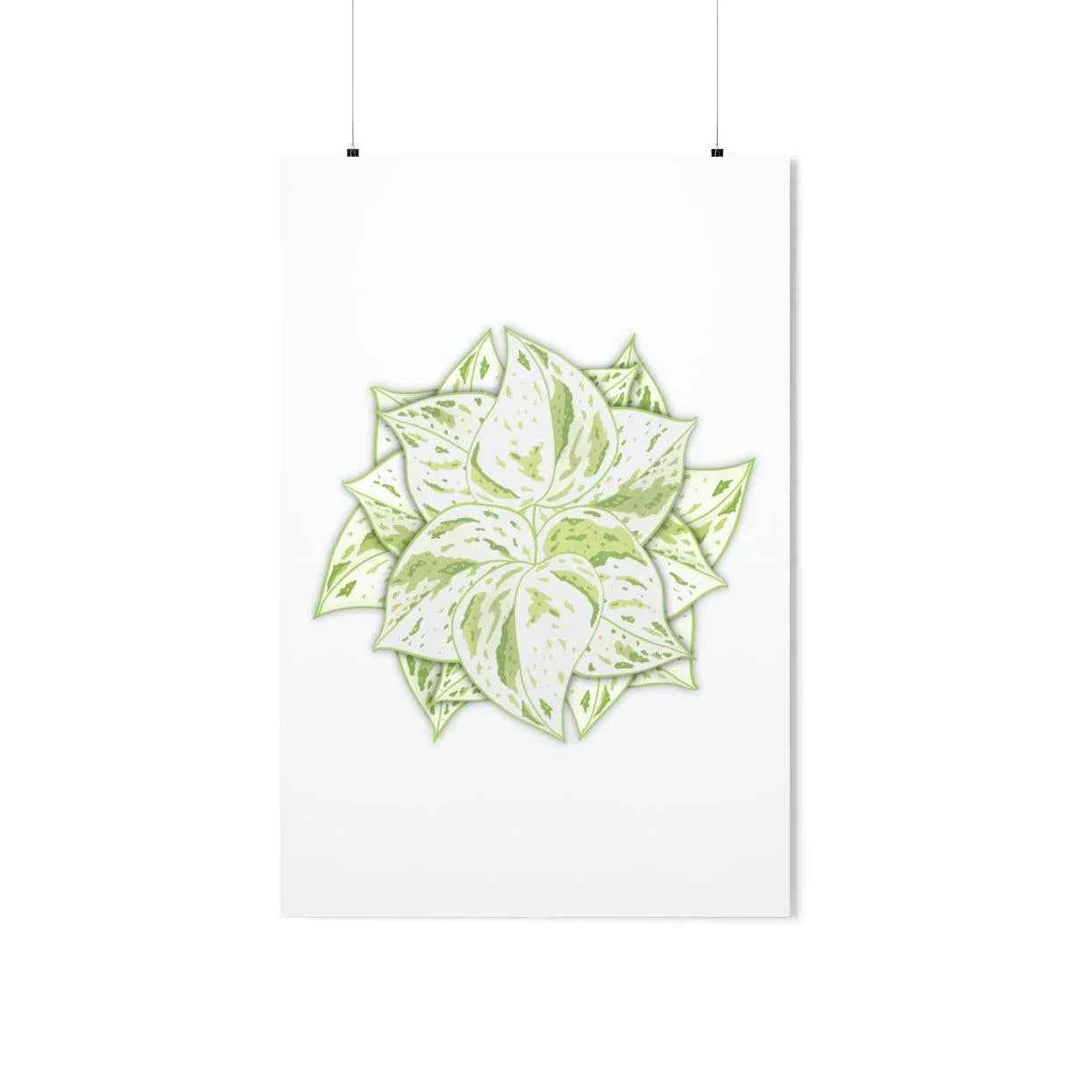 Snow Queen Pothos Print – Variegated Pothos Art on Museum Grade Paper Unframed - The Potted Pixel