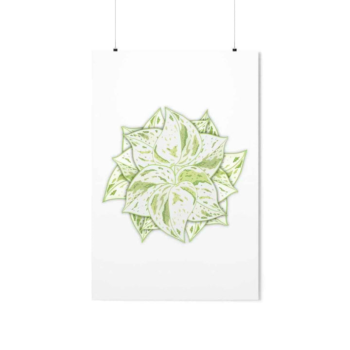 Snow Queen Pothos Print – Variegated Pothos Art on Museum Grade Paper Unframed - The Potted Pixel