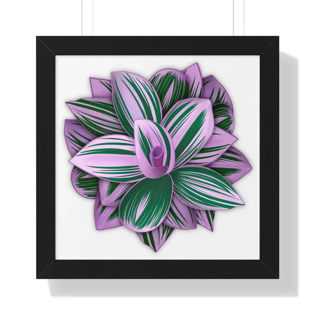 Tradescantia Nanouk Framed Print, Poster, Laura Christine Photography & Design, Framed, Home & Living, Indoor, Paper, Posters, Laura Christine Photography & Design, laurachristinedesign.com