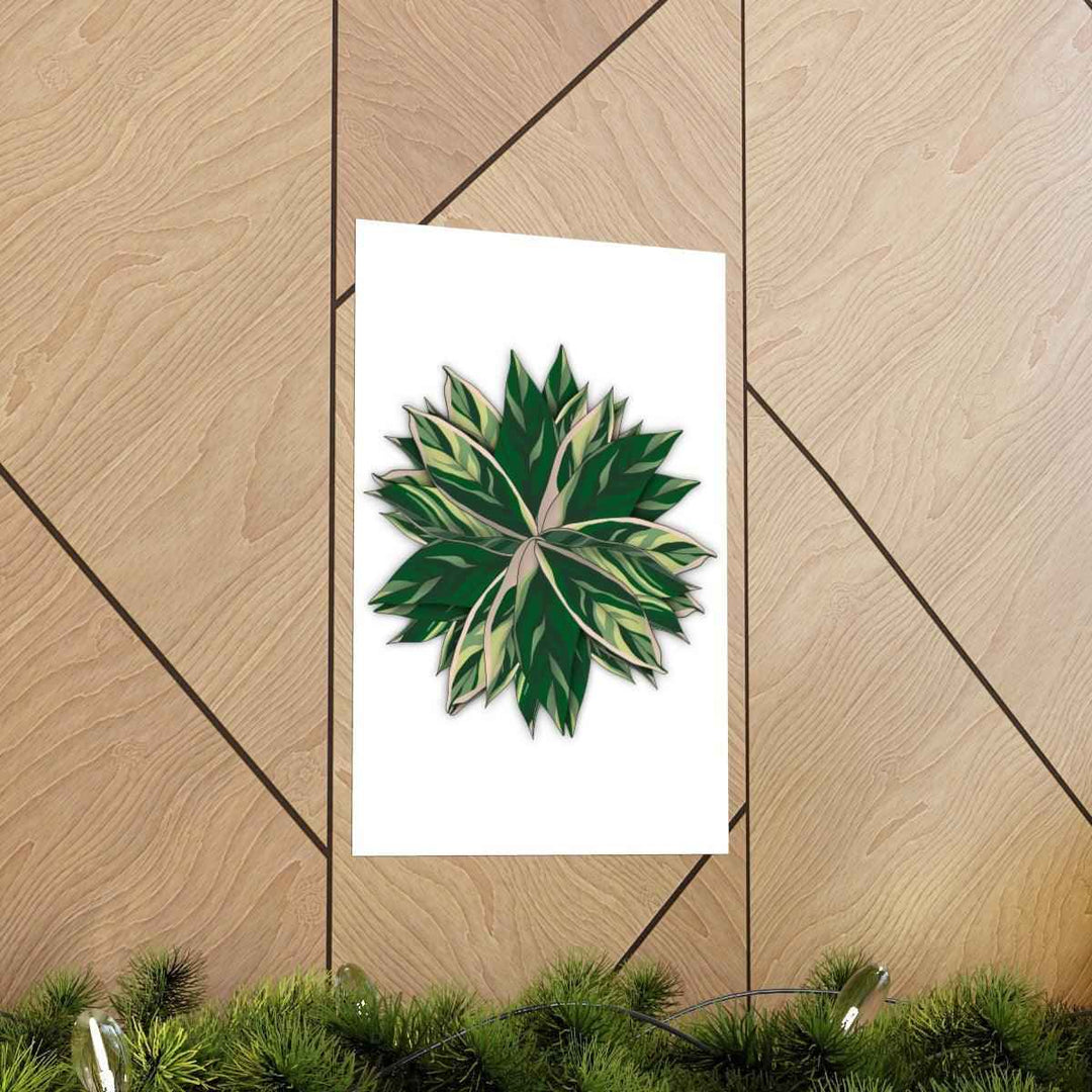 Stromanthe Triostar Print – Tropical Wall Art | Botanical Poster on Museum Grade Paper Unframed - The Potted Pixel