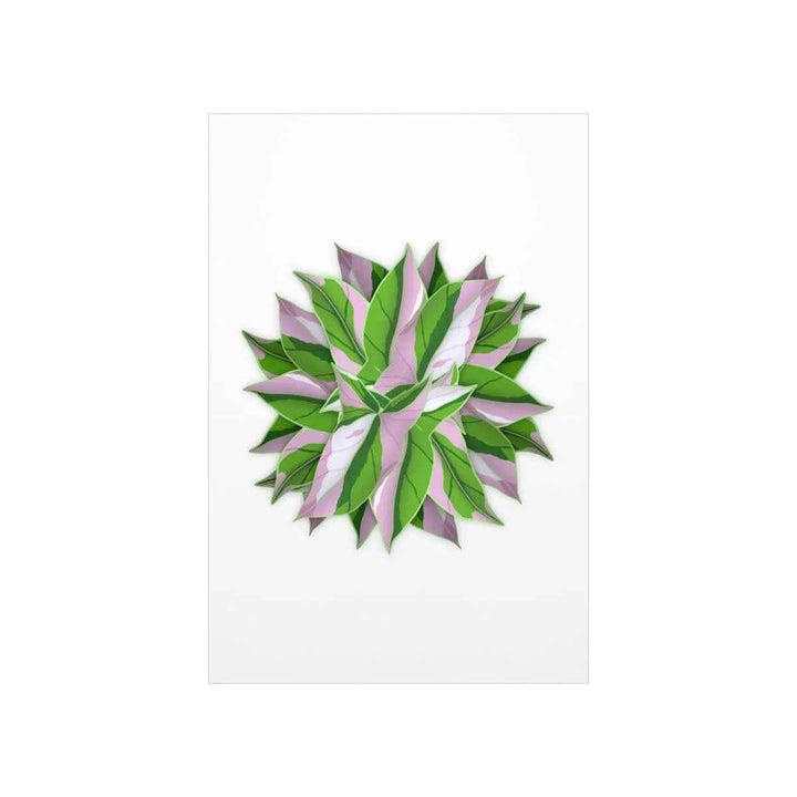 Syngonium Tricolor Botanical Print – Unframed Wall Art - The Potted Pixel
