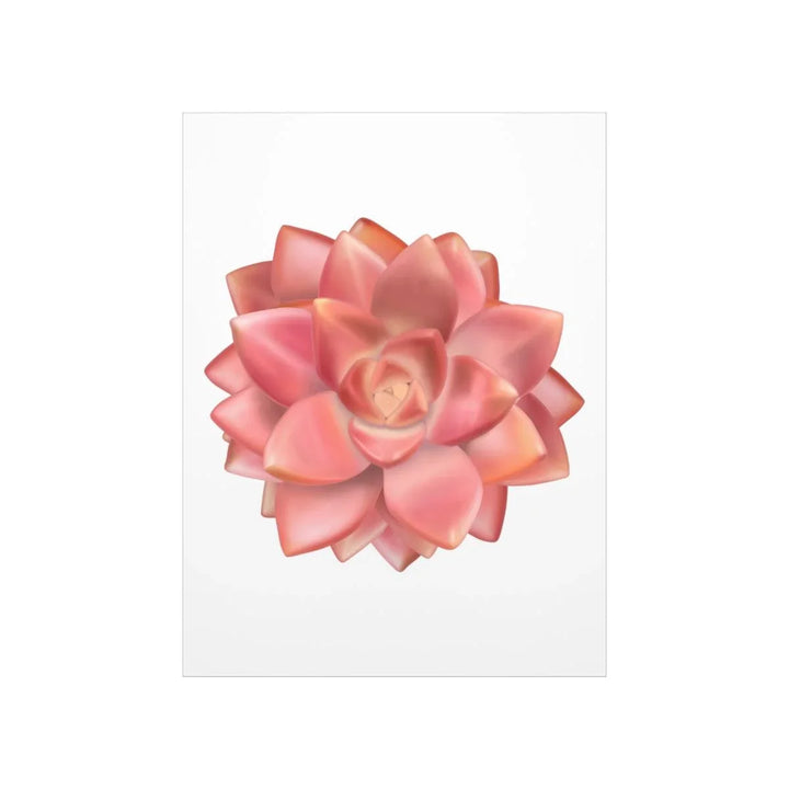 Graptosedum 'California Sunset'  Succulent Print, Poster, Laura Christine Photography & Design, Back to School, Home & Living, Indoor, Matte, Paper, Posters, Valentine's Day promotion, Laura Christine Photography & Design, laurachristinedesign.com