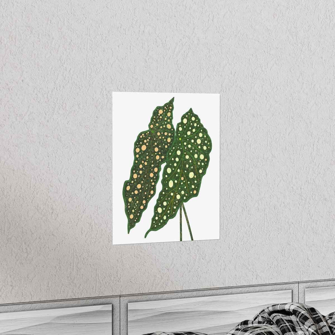 Begonia Maculata Print - Botanical Wall Art on Museum Grade Paper | Matte Finish Unframed - The Potted Pixel