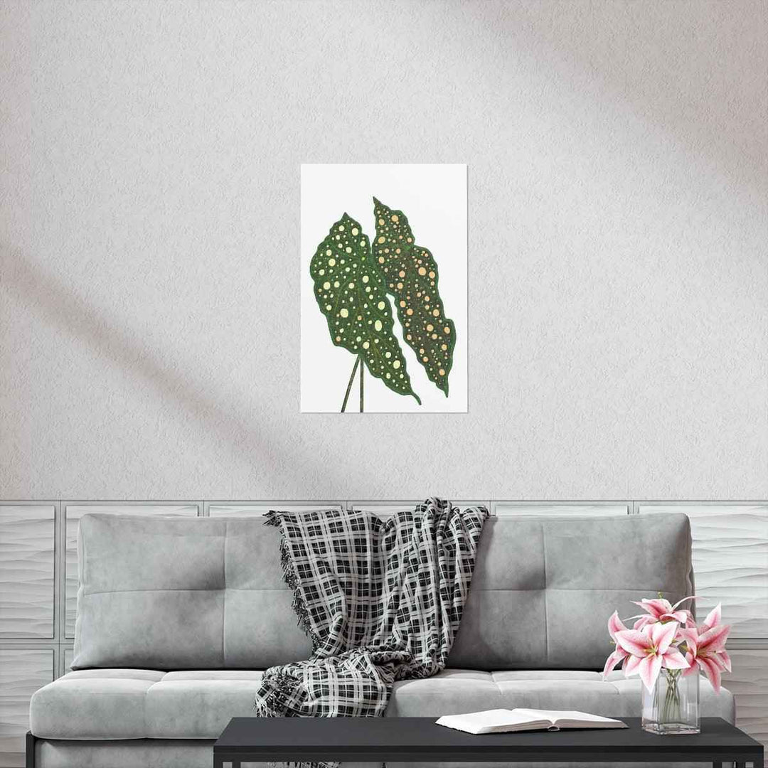 Begonia Maculata Print - Botanical Wall Art on Museum Grade Paper | Matte Finish Unframed - The Potted Pixel