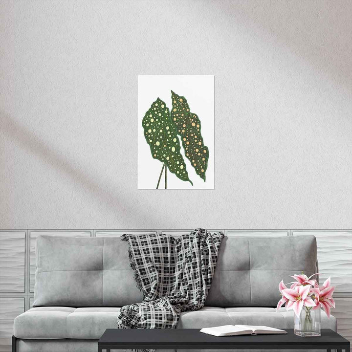 Begonia Maculata Print - Botanical Wall Art on Museum Grade Paper | Matte Finish Unframed - The Potted Pixel