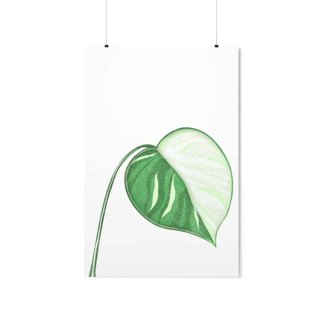 Monstera Albo Print – Large Tropical Leaf Poster | Museum Grade Paper Artwork Unframed