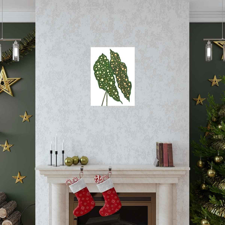 Begonia Maculata Print - Botanical Wall Art on Museum Grade Paper | Matte Finish Unframed - The Potted Pixel