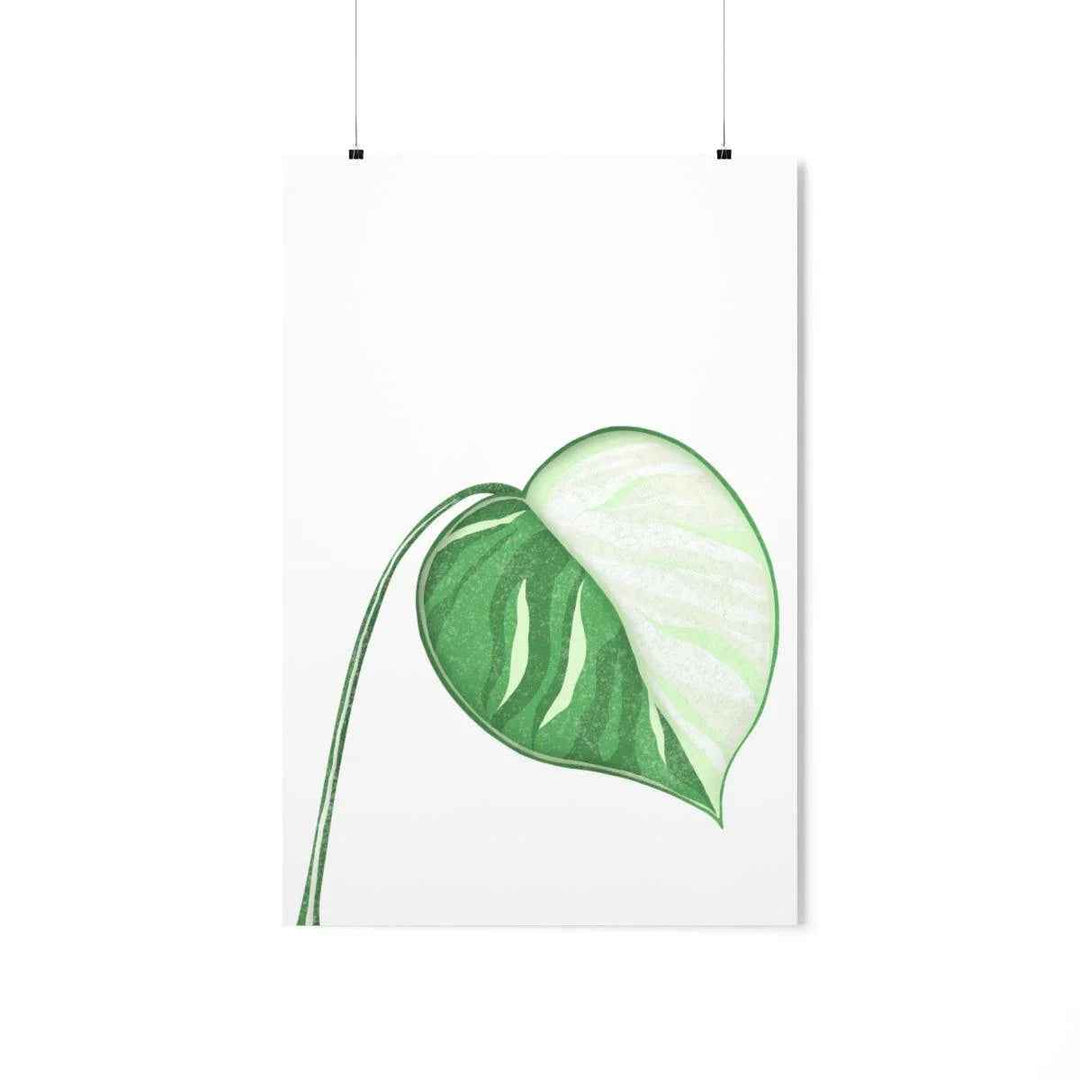 Monstera Albo Print – Large Tropical Leaf Poster | Museum Grade Paper Artwork Unframed