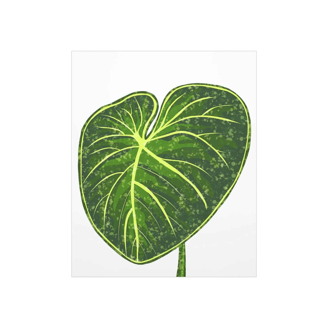 Philodendron Gloriosum Print Botanical Wall Art – Tropical Leaf Poster on Museum-Grade Paper - The Potted Pixel