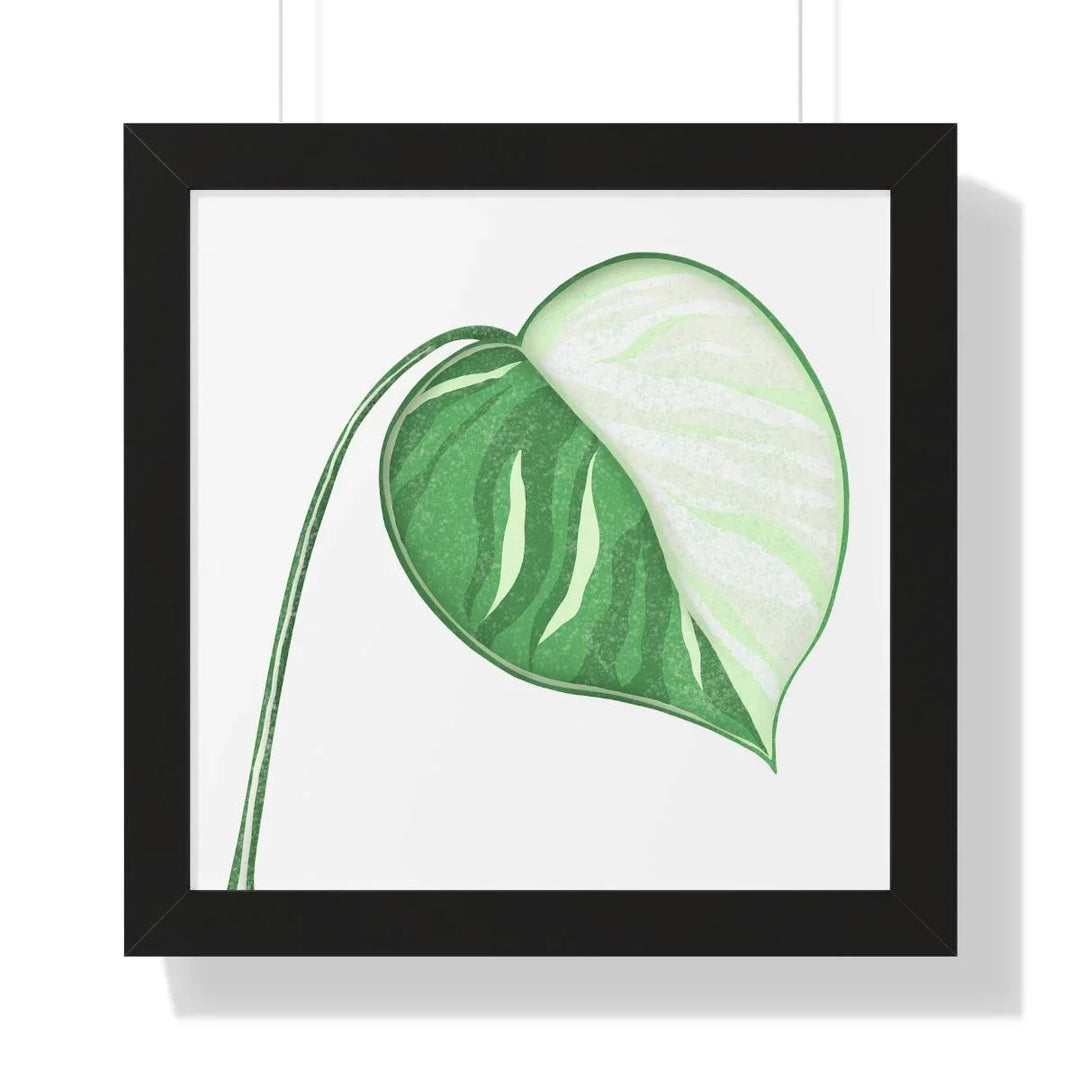 Monstera Albo Framed Print, Poster, Laura Christine Photography & Design, Framed, Home & Living, Indoor, Paper, Posters, Laura Christine Photography & Design, laurachristinedesign.com