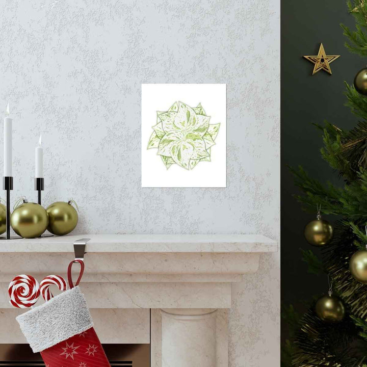 Snow Queen Pothos Print – Variegated Pothos Art on Museum Grade Paper Unframed - The Potted Pixel